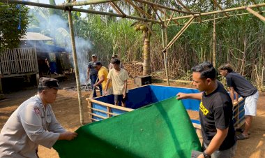 Polres-Malang-Bongkar-Arena-Sabung-Ayam-di-Dua-Lokasi