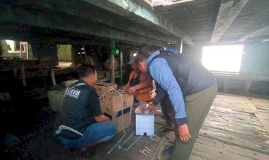 Polres-Situbondo-Berhasil-Amankan-Ratusan-Slop-Rokok-Tanpa-Pita-Cukai