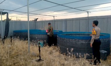 Polsek-Gedangan-dan-Pemdes-Ganting-Wujudkan-Ketahanan-Pangan-melalui-Budidaya-Ikan-Nila