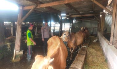 Polsek-Taman-Polresta-Sidoarjo-Terus-Dukung-Warga-Kembangkan-Peternakan-Sapi-untuk-Ketahanan-Pangan