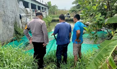 Polsek-Gedangan-Tinjau-Budidaya-Ikan-Lele-di-P2B-Bumdes-Wedi-Dukung-Program-Ketahanan-Pangan
