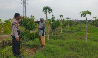 Polisi-bersama-Warga-Pagerwojo,-Wujudkan-Ketahanan-Pangan-Kembangkan-Tanaman-Alpukat