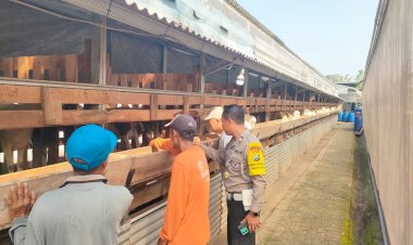 Polsek-Wonoayu-Dorong-Kemandirian-Pangan-Lewat-Edukasi-Peternakan-Kambing