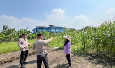 Ketahanan-Pangan-Polri-Makin-Masif,-Polsek-Sedati-Intensif-Dampingi-Petani-Jagung-Wujudkan-Swasembada-Pangan-di-Sidoarjo