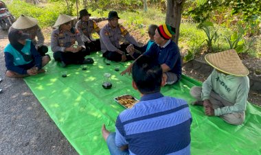 Kapolsek-Balongbendo-Pantau-Kesiapan-Panen-Raya-Jagung,-Petani-Soroti-Harga-dan-Kebutuhan-Bibit